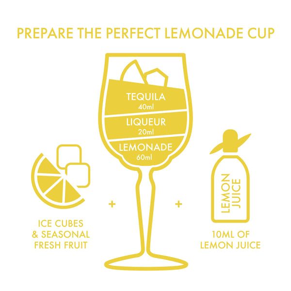 Jose Cuervo Lemonade Cup DIY Kit | METAGROUP Limited