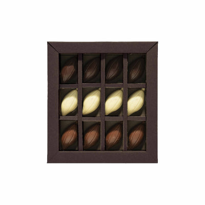 AMEDEI ATTIMO GIFTBOX - 12 Chocolate Cabosses 102g