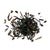 La Via del Tè La Via Del Te Earl Grey Imperiale: India - Black Tea Blend | METAGROUP Limited